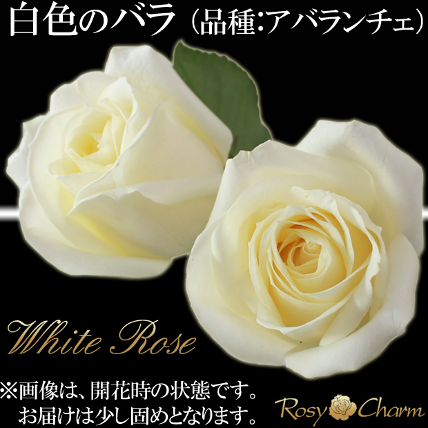 バラの花束 100本 赤い薔薇 プロポーズ 誕生日 プレゼント 結婚記念日