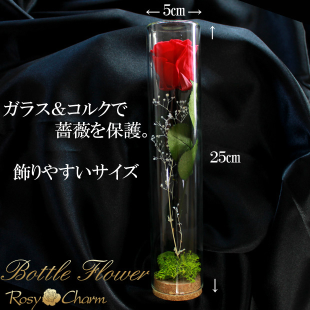 ガラスドーム入り薔薇