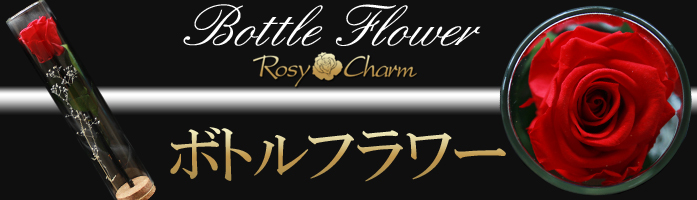 ロージーチャーム ヤフー店 - Yahoo!ショッピング