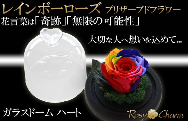 ガラスドーム レインボーローズ プリザーブドフラワー