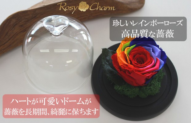 ガラスドーム レインボーローズ プリザーブドフラワー