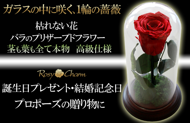 ガラスドーム　1輪の薔薇　美女と野獣