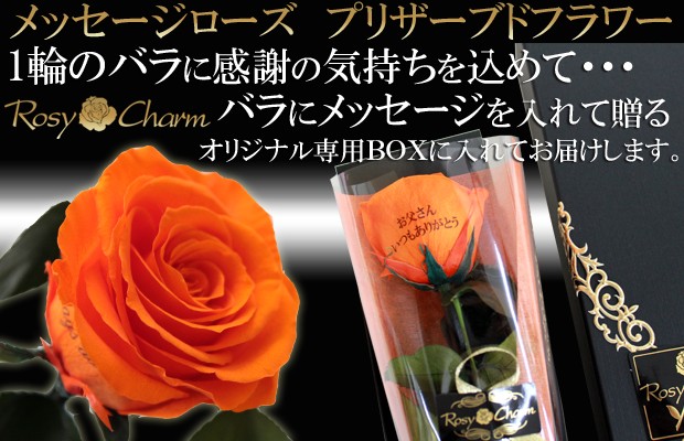 メッセージローズ プリザーブドフラワー オレンジのバラ 1本