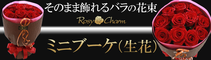 ロージーチャーム ヤフー店 - Yahoo!ショッピング