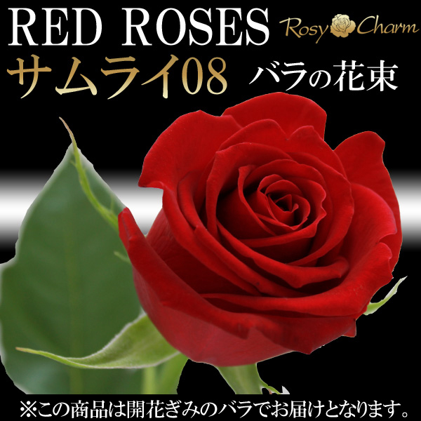 赤バラ｜サムライ08