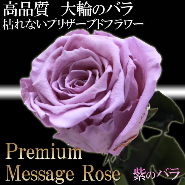大輪 紫のバラ【プレミアム】 メッセージローズ プリザーブドフラワー