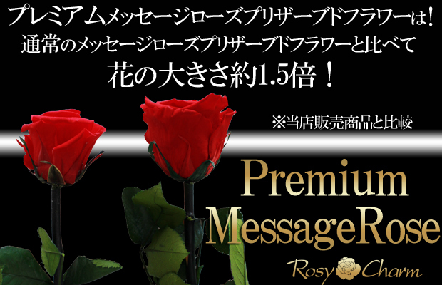 大輪の赤い薔薇 プリザーブドフラワー