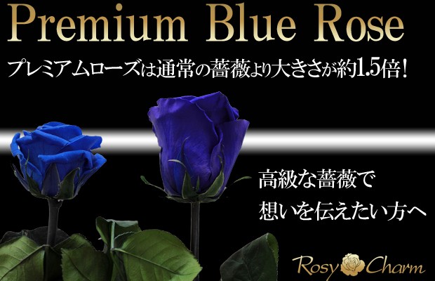 大輪の青い薔薇　プリザーブドフラワー