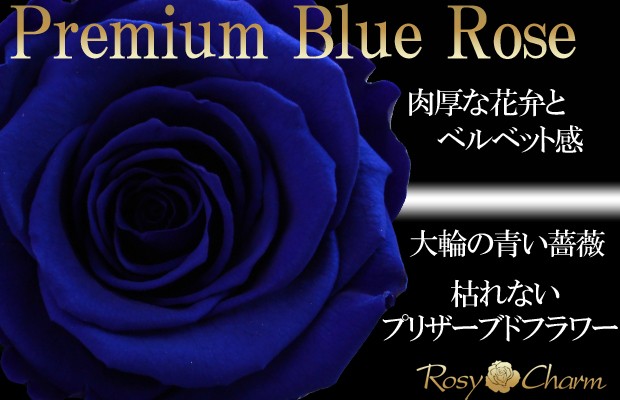 誕生日・記念日・プロポーズ　青い薔薇