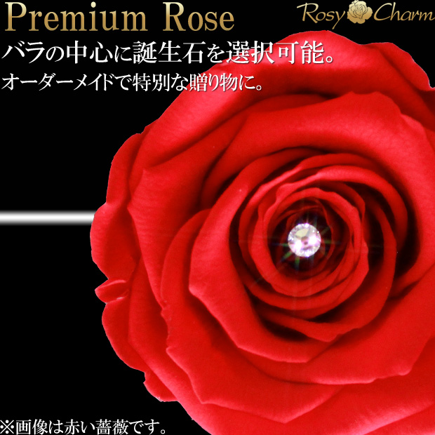 赤い薔薇 1本 プレミアムローズ プリザーブドフラワー プロポーズ 結婚