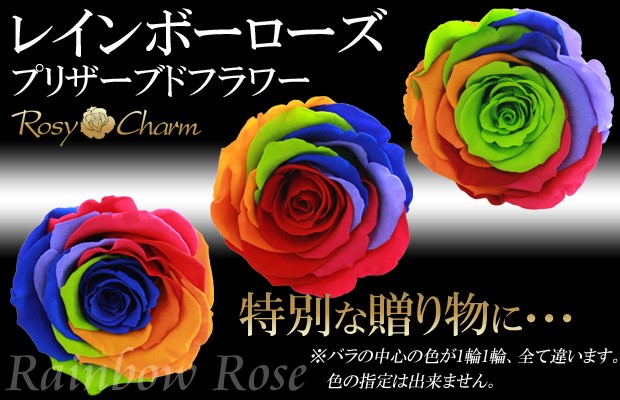 レインボーローズ プリザーブドフラワー 薔薇 1本 誕生日 プレゼント