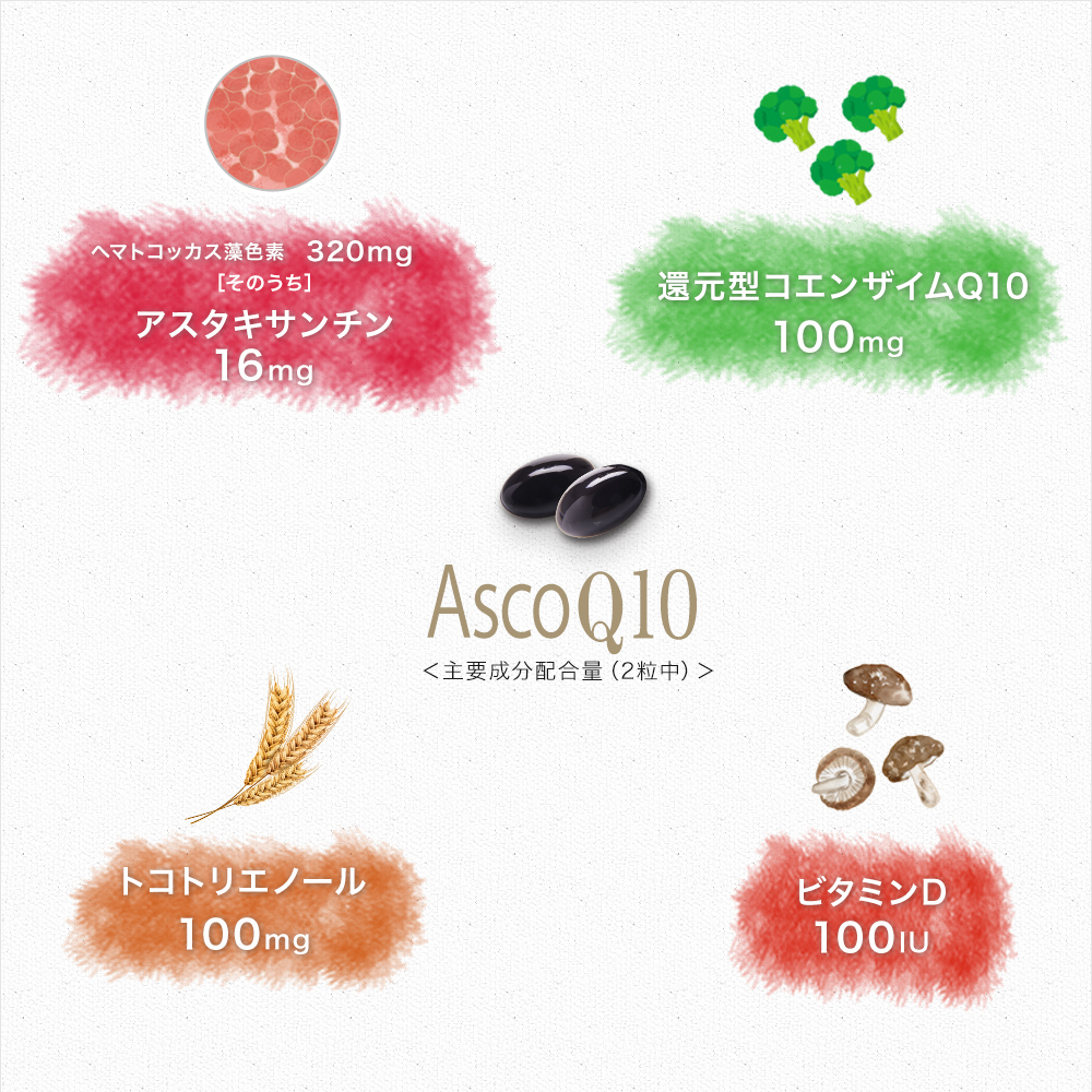 ROTTS AscoQ10 アスコキューテン 3袋計60日分 サプリメント ROTTS AscoQ10 アスコキューテン 3袋計60日分 サプリメント 【公式通販】