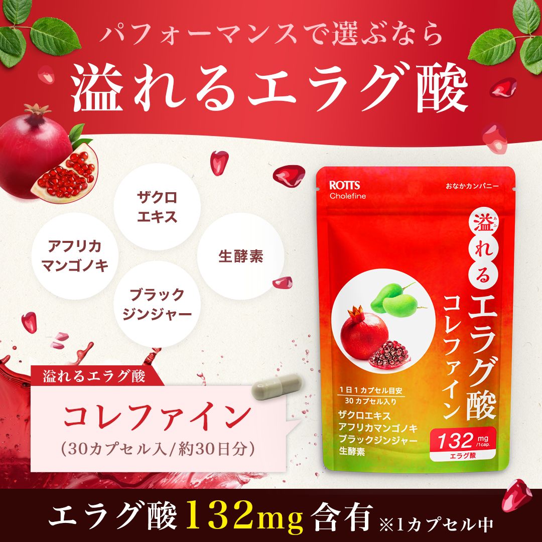 「内」「脂」アプローチ型カプセル