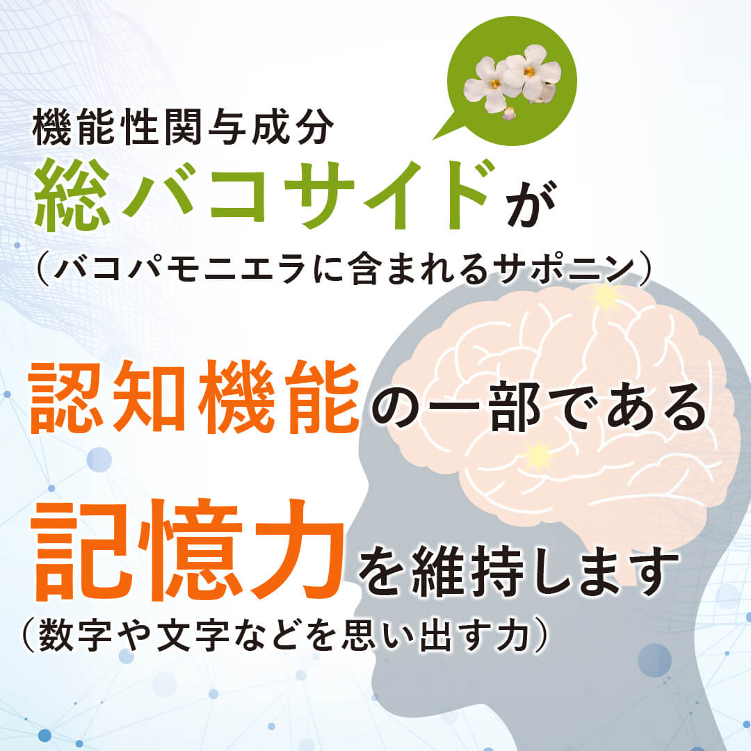認知機能の記憶力を維持