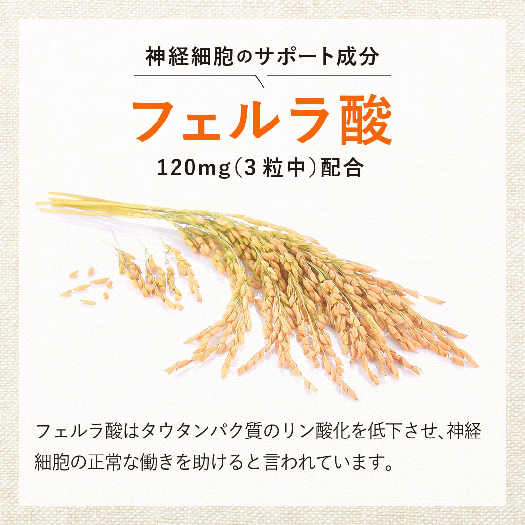 フェルラ酸を配合