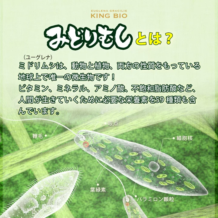 3個セット／みどりむしダイエット キングバイオ（60粒） ユーグレナ 腸