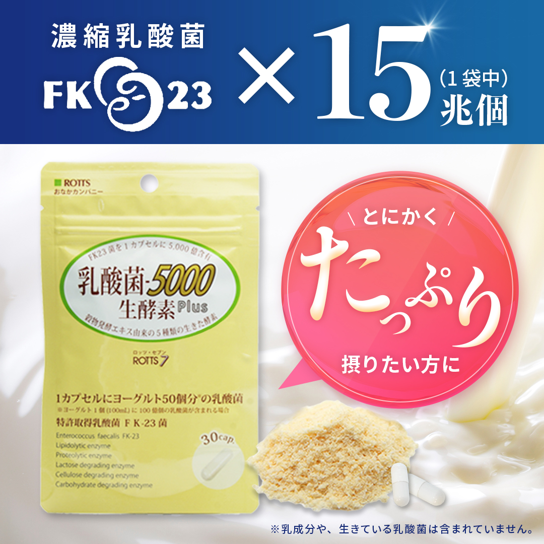 NS乳酸菌　4袋セット NS乳酸菌 4袋セット