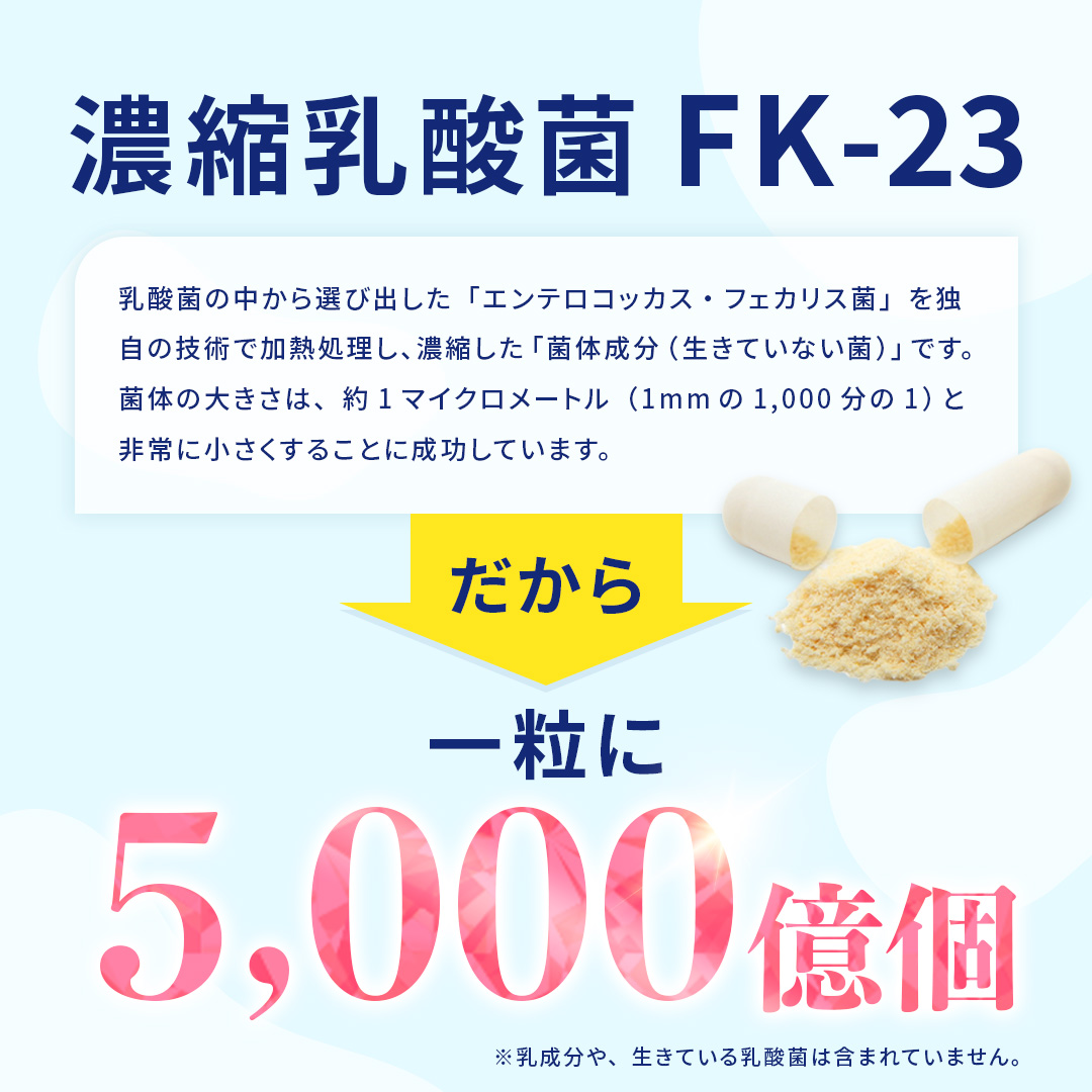 ROTTS 2個セット FK-23 濃縮 乳酸菌 サプリメント 乳酸菌5000生酵素