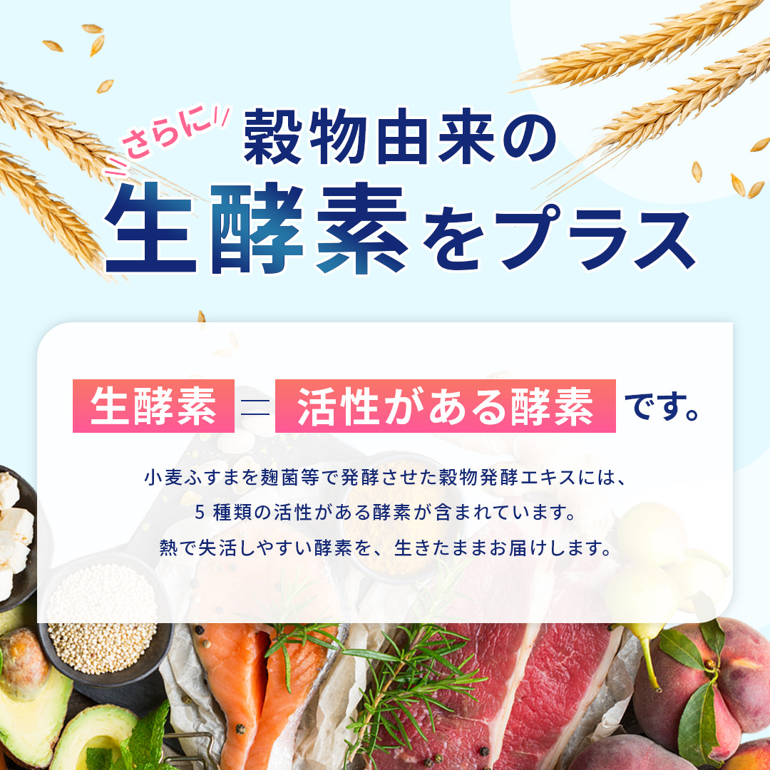 ROTTS 2個セット FK-23 濃縮 乳酸菌 サプリメント 乳酸菌5000生酵素