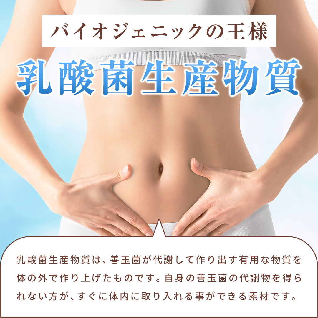 ROTTS 乳酸菌10000 ROTTS-1 （2g×30包） ナノ型乳酸菌 微粒子乳酸菌