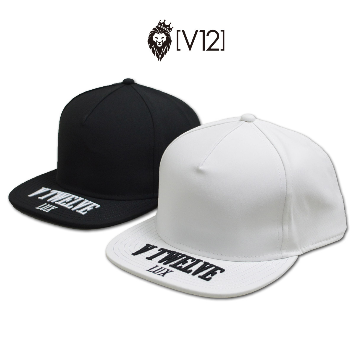 vlx2220cp02-1.jpg