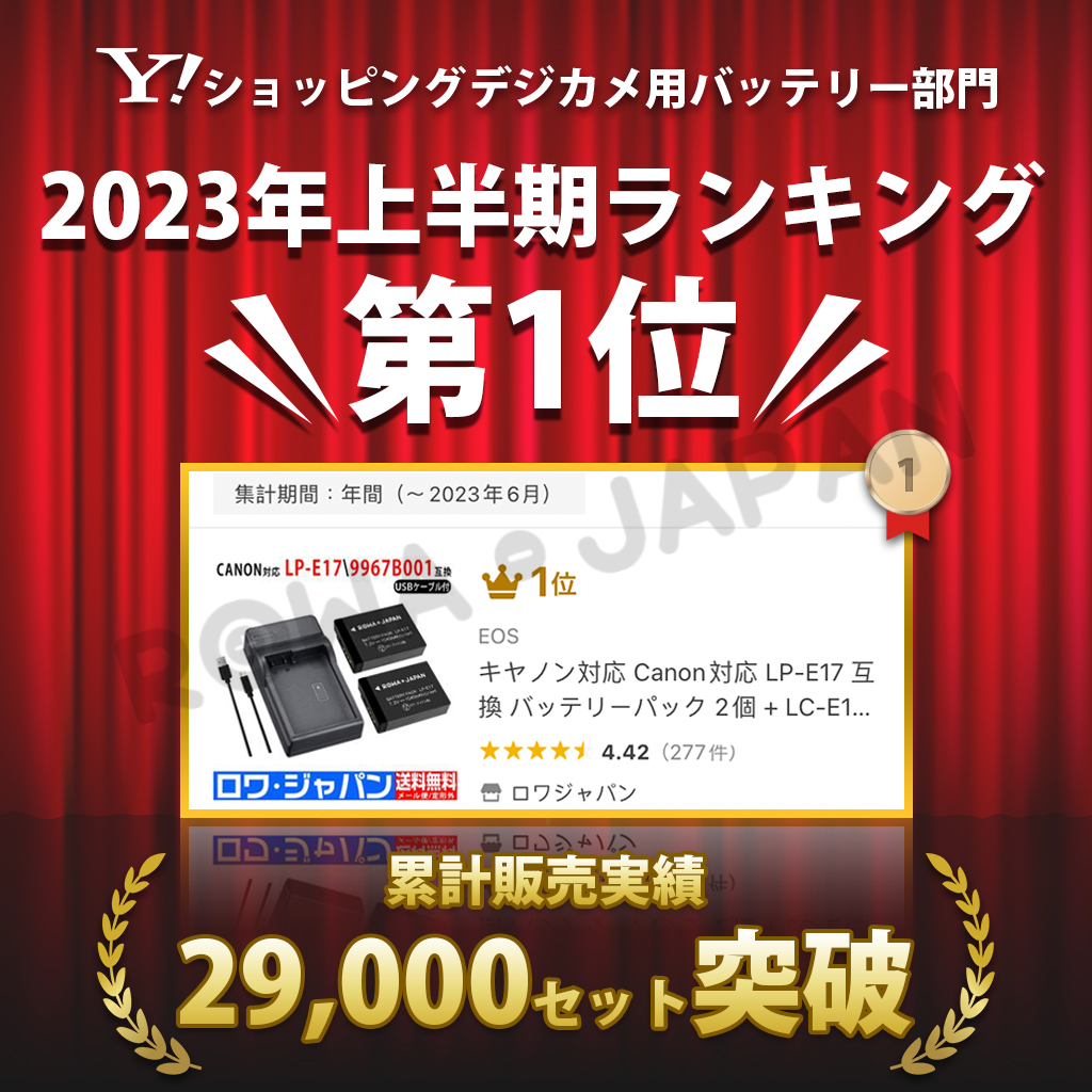 キヤノン対応 Canon対応 LP-E17 互換 バッテリーパック 2個 + LC-E17 互換 USB 充電器 セット ロワジャパン