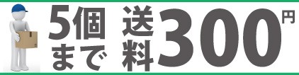 5個まで送料300円