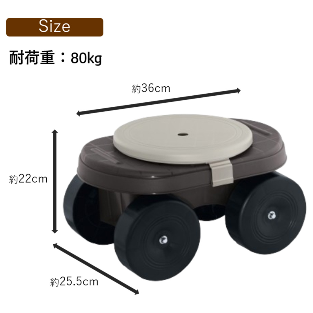 サイズ