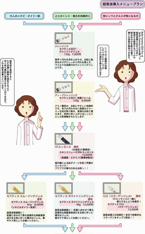 ベルファムSDXプロ 使い方/詳細/超音波導入メニュープラン - ロイヤル