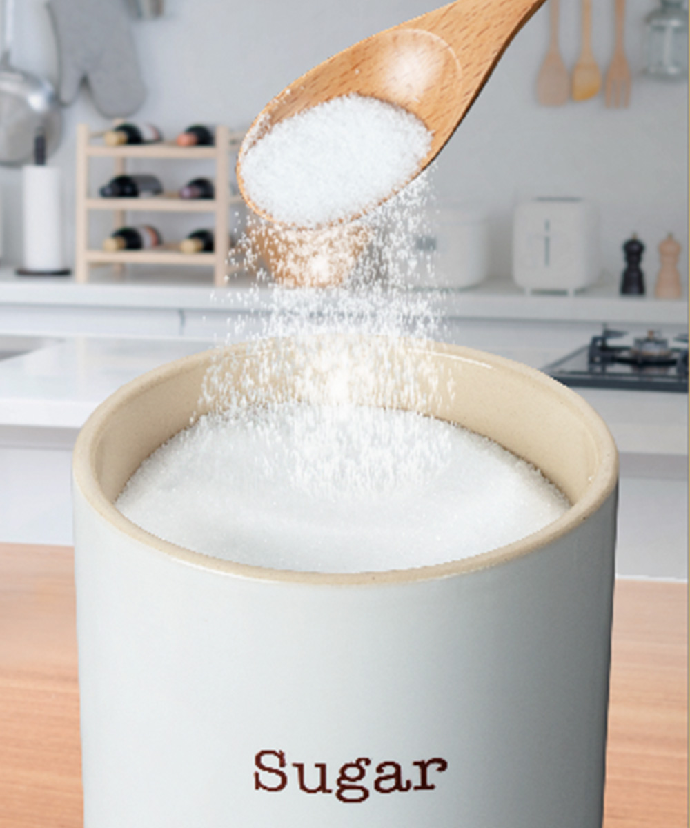 デリッシュライフ シュガーポット 300ml 4351 イシガキ産業 | シュガー