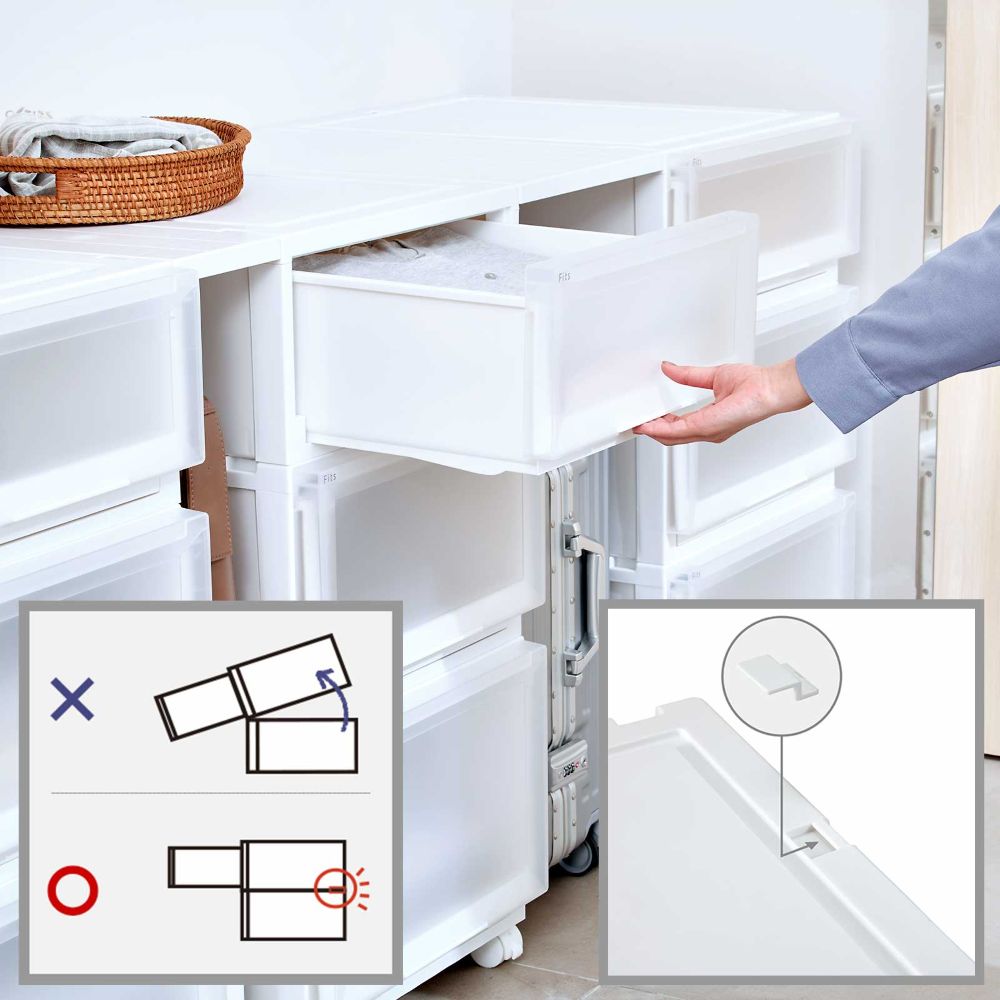 通販限定 2個セット 】天馬 収納ボックス フィッツケース アドバンス