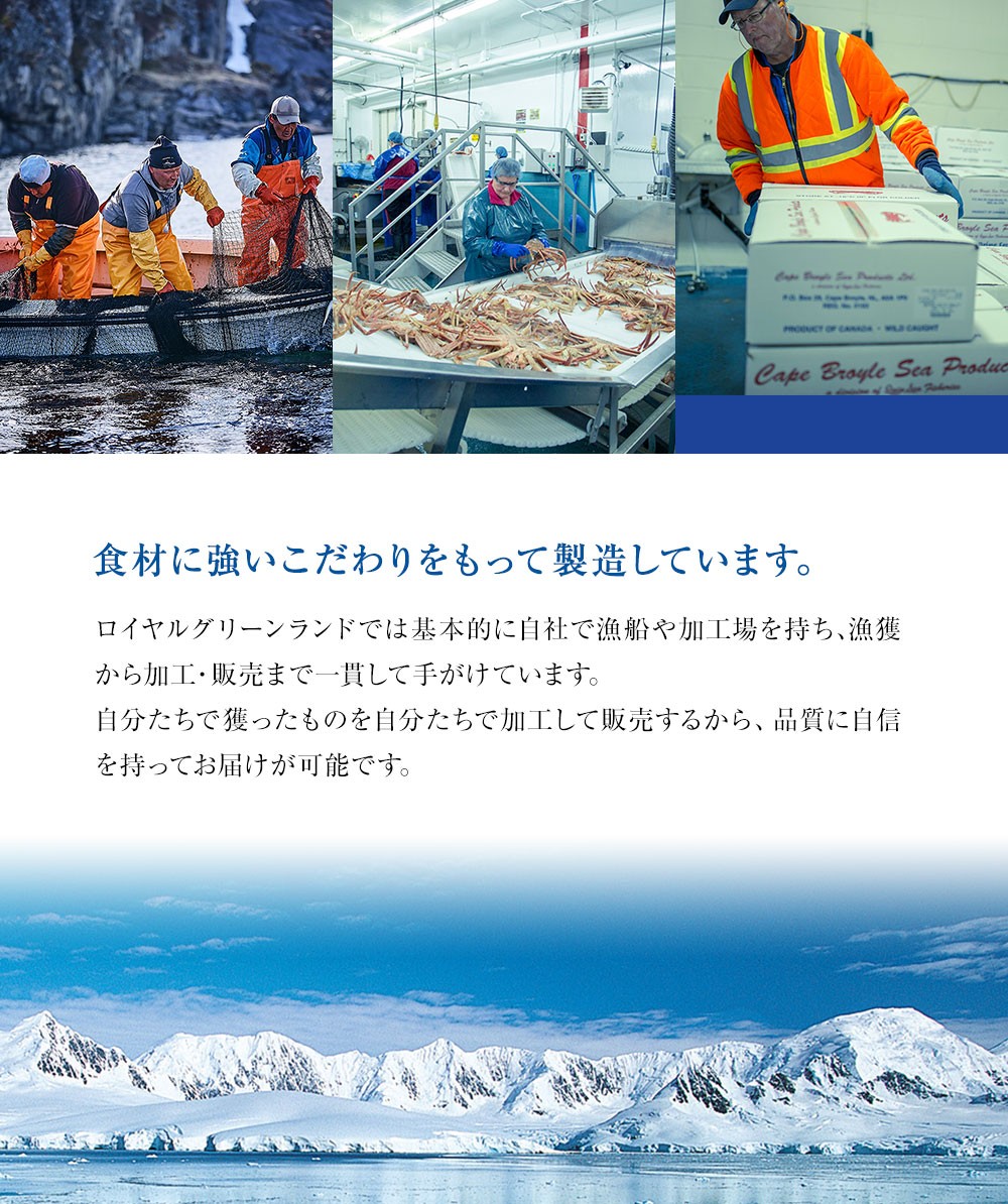 カニ かに 蟹 ずわいがに ボイル ポーション 1kg カニ脚 蟹爪 爪肉 肩肉 かにしゃぶ かに鍋 ロイヤルグリーンランド