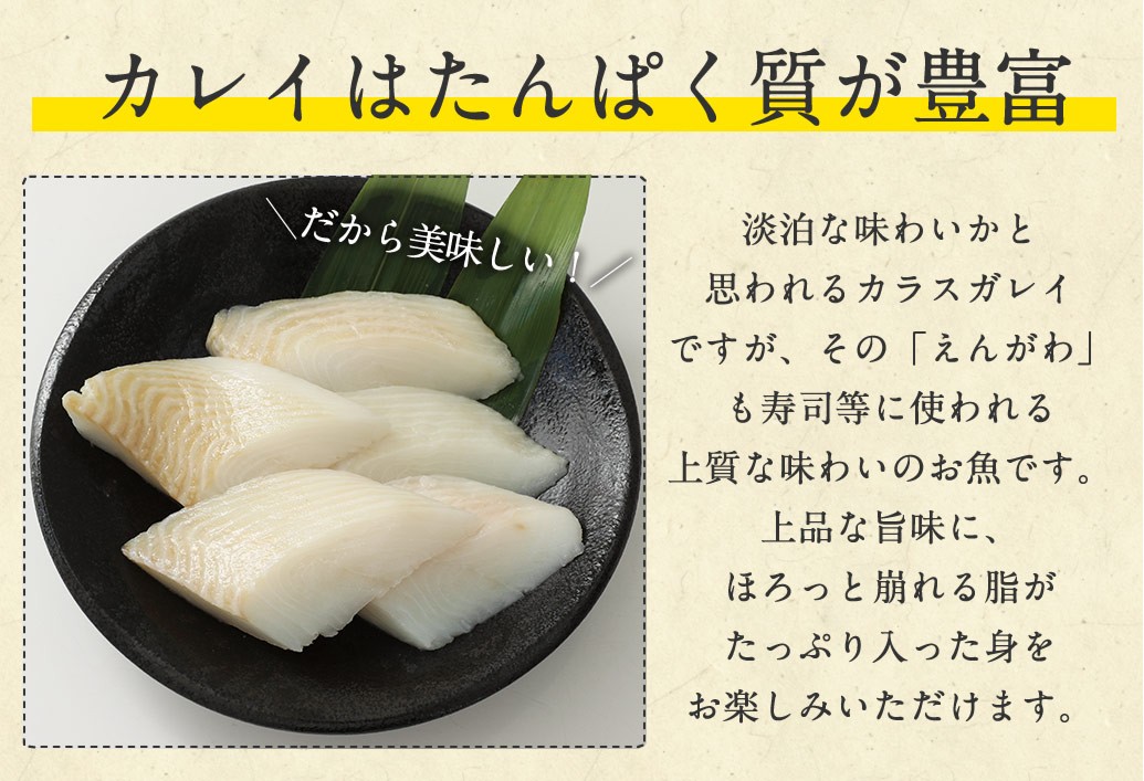 カレイ 予約 年末年始 カラスガレイ 切り身60g 10切れ カレイ 切り身 切身 冷凍 60g 10切れ 600g 骨なし 皮なし 非加熱 2 ロイヤルグリーンランド 通販 Yahoo ショッピング