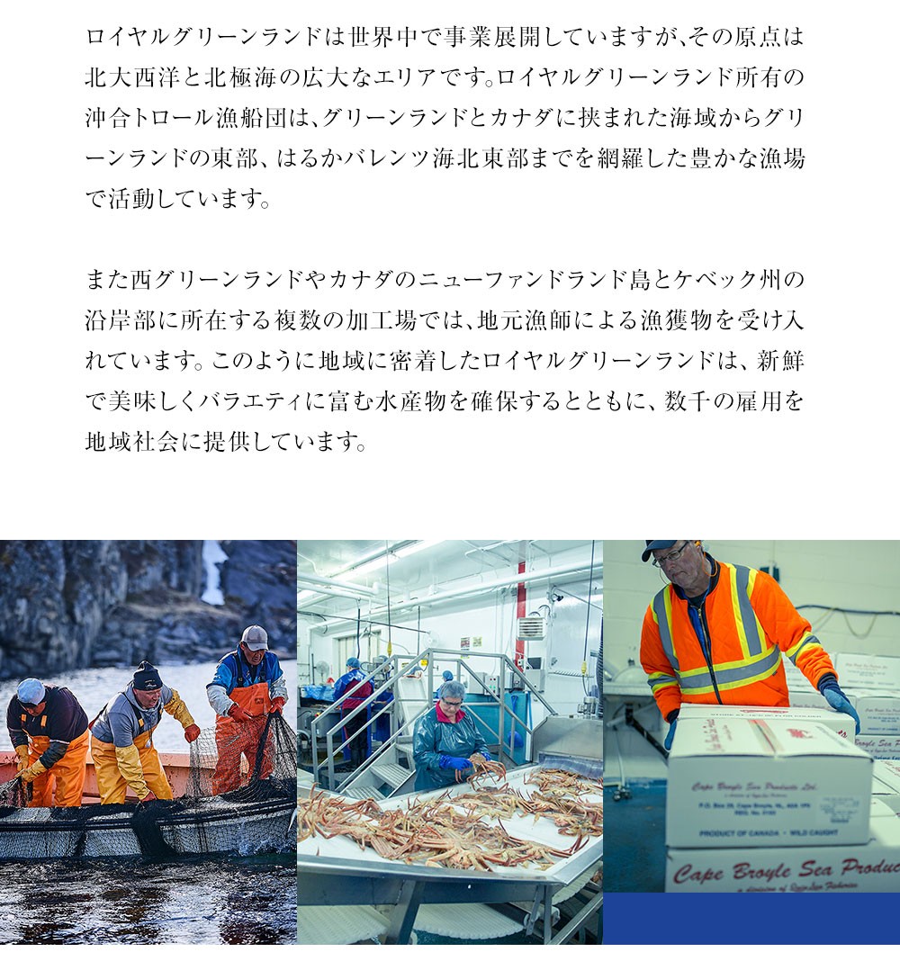 セット 売り切れ間近 送料無料 本ズワイガニ むき甘えび ボイルとむきあまえびセット 切り身（1kg : 1-2人前 ） むき甘えび（500g）蟹 かに カニ ロイヤルグリーンランド - 通販 - PayPayモール パッケージ