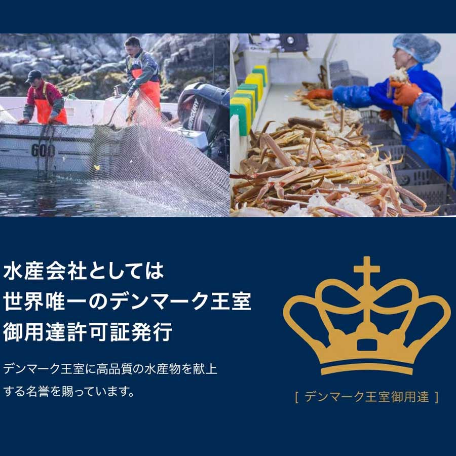 サバ さば 鯖 フィーレ 無塩 ノルウェー産 骨取り 骨なし 骨抜き 切り身