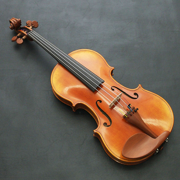 カルロジョルダーノ VS-2 4/4 バイオリンセット ヴァイオリン 初心者 