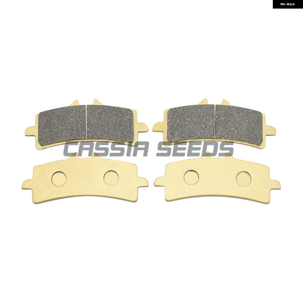 並行輸入品 ドゥカティ オートバイ フロントリアブレーキ パッド 1200 S MONSTER 1299 PANIGALE V4 R SUPER LEGRA 2014-2021 2015-2020 | ブランド登録なし | 03