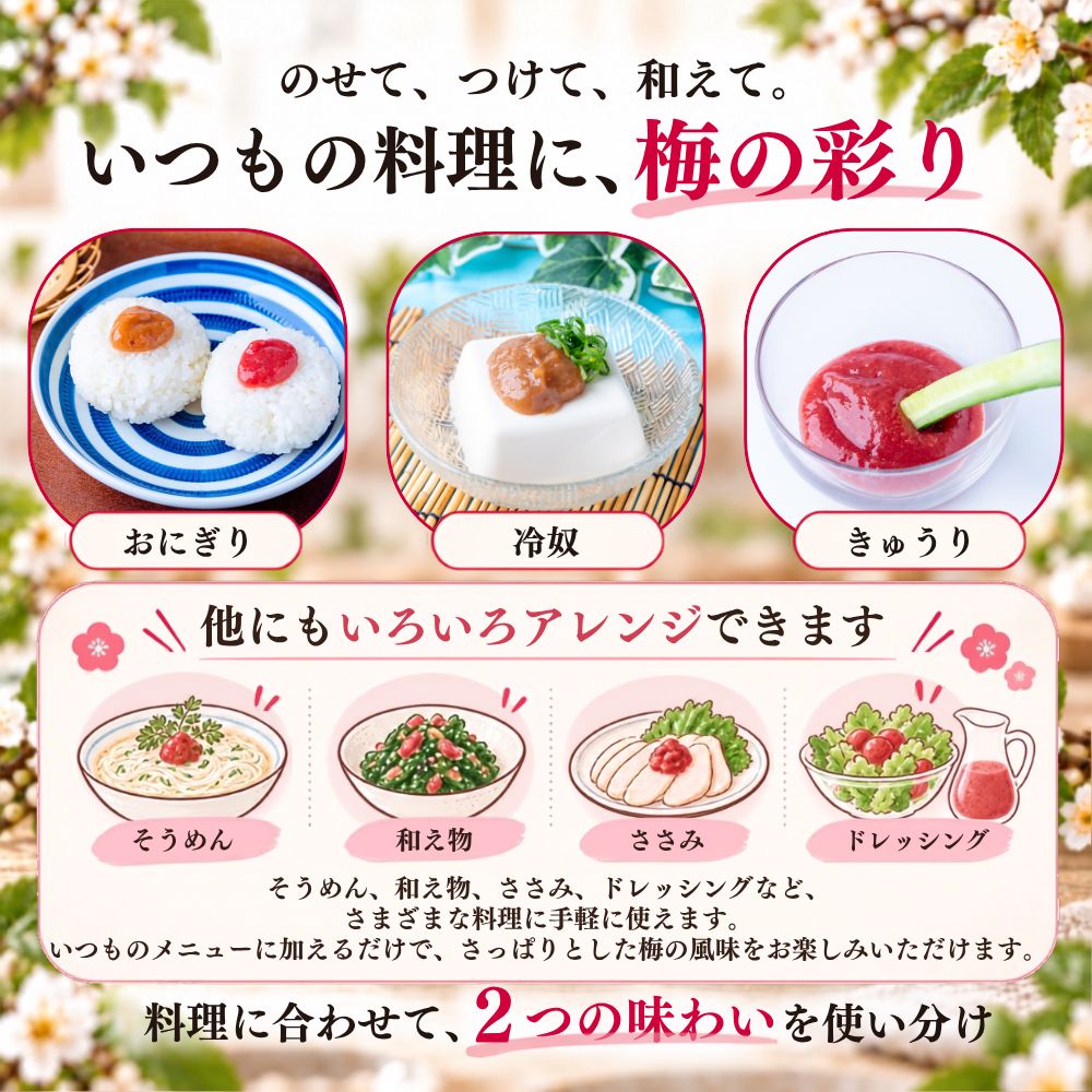 竹内農園 練り梅 しそねり梅 180g 2種セット チューブ 塩分約20% ねり梅 梅肉 特別栽培 紀州南高梅干 無添加 梅 うめ 練梅 送料無料 関連画像5