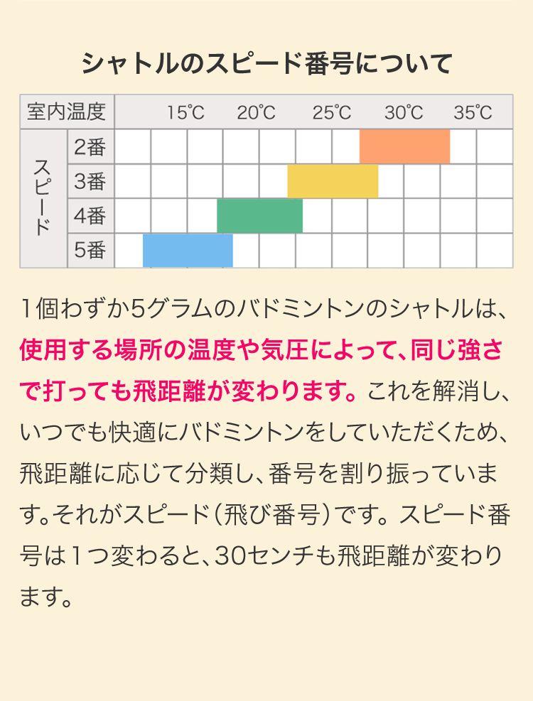 RSL ファーストステップ バドミントンシャトル 練習用 10ダース(10本