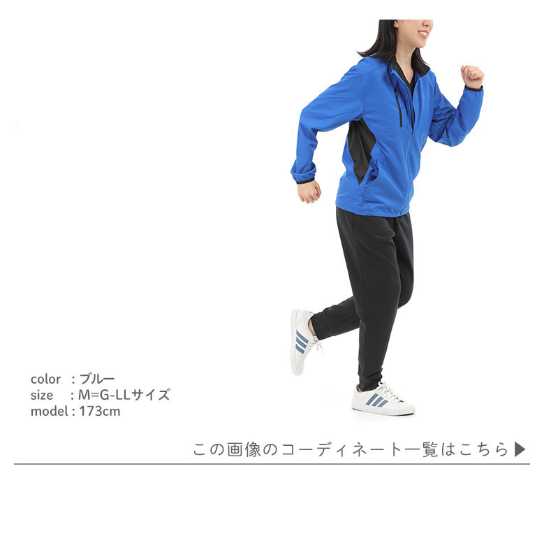 モデル