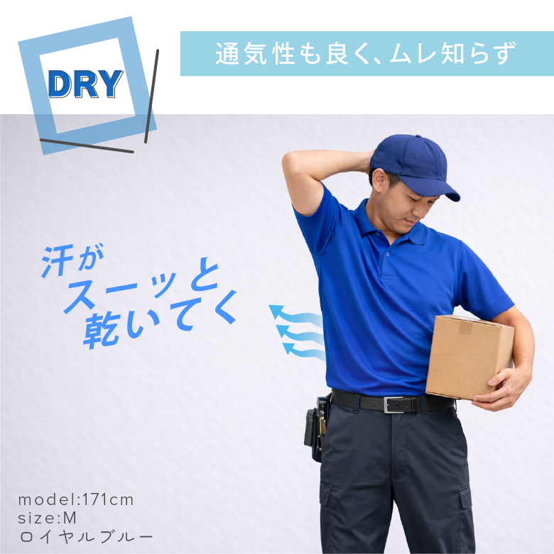 モデル画像