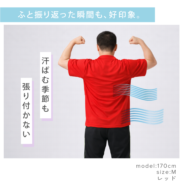 モデル画像
