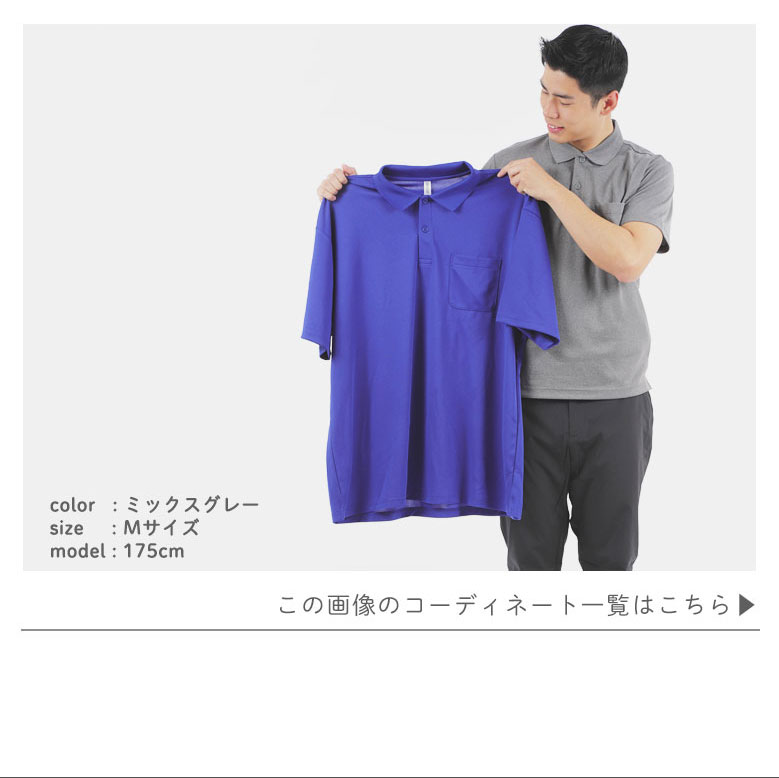 モデル