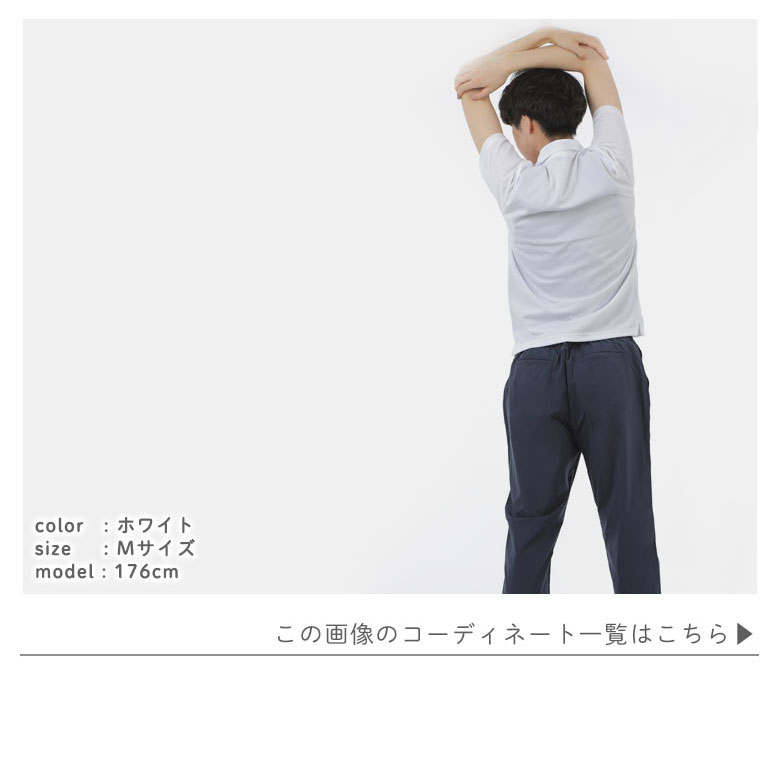 モデル