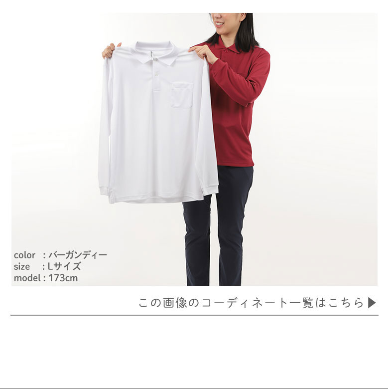 モデル