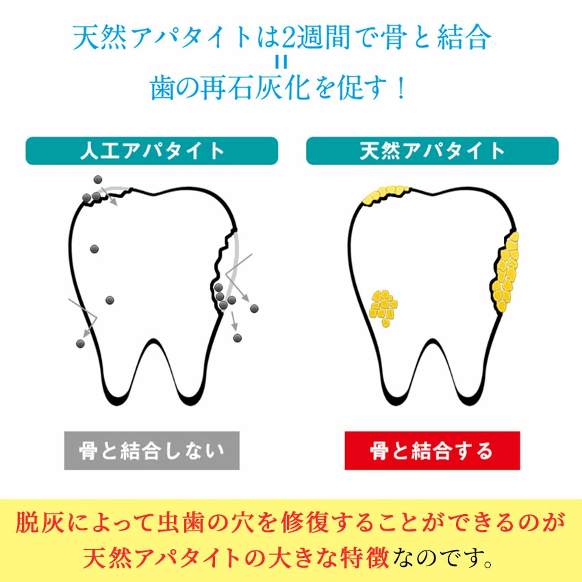 天然アパタイトは人工アパタイトより歯の再石灰化を促しやすい