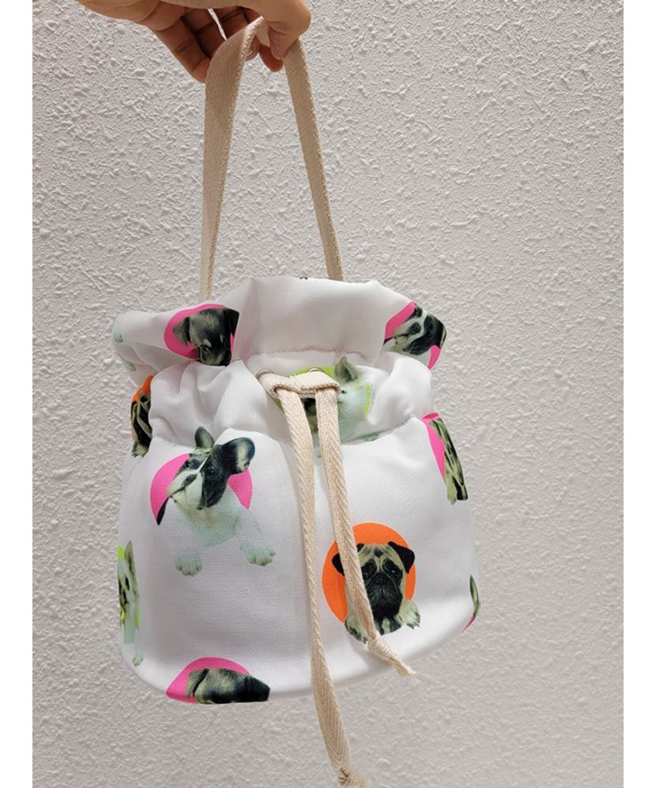 極美品✨リズリサ　2wayハンドバッグ　レース　犬　ショルダー　ホワイト　姫系 REAL STYLE（ファッション） バッグ レディース ショルダー