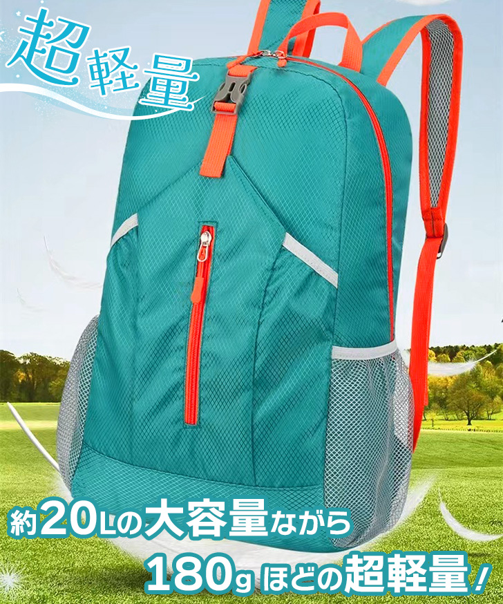 REAL STYLE リュック メンズ レディース 大容量 折りたたみ 携帯 軽量