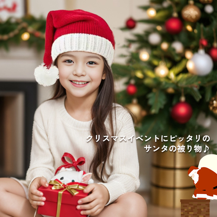 クリスマス サンタクロース コスプレ サンタコス 衣装 帽子