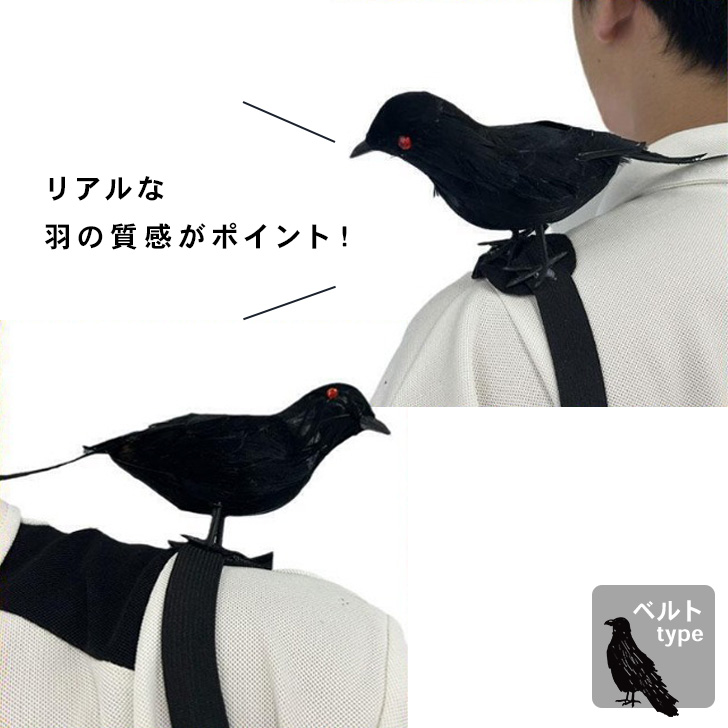 ハロウィン コスプレ 衣装 仮装 2026 かっこいい カラス 肩乗せ 羽 鳥